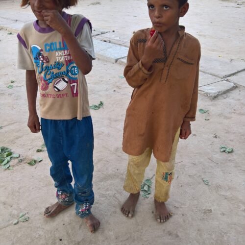 Campaign for Feed the needy project